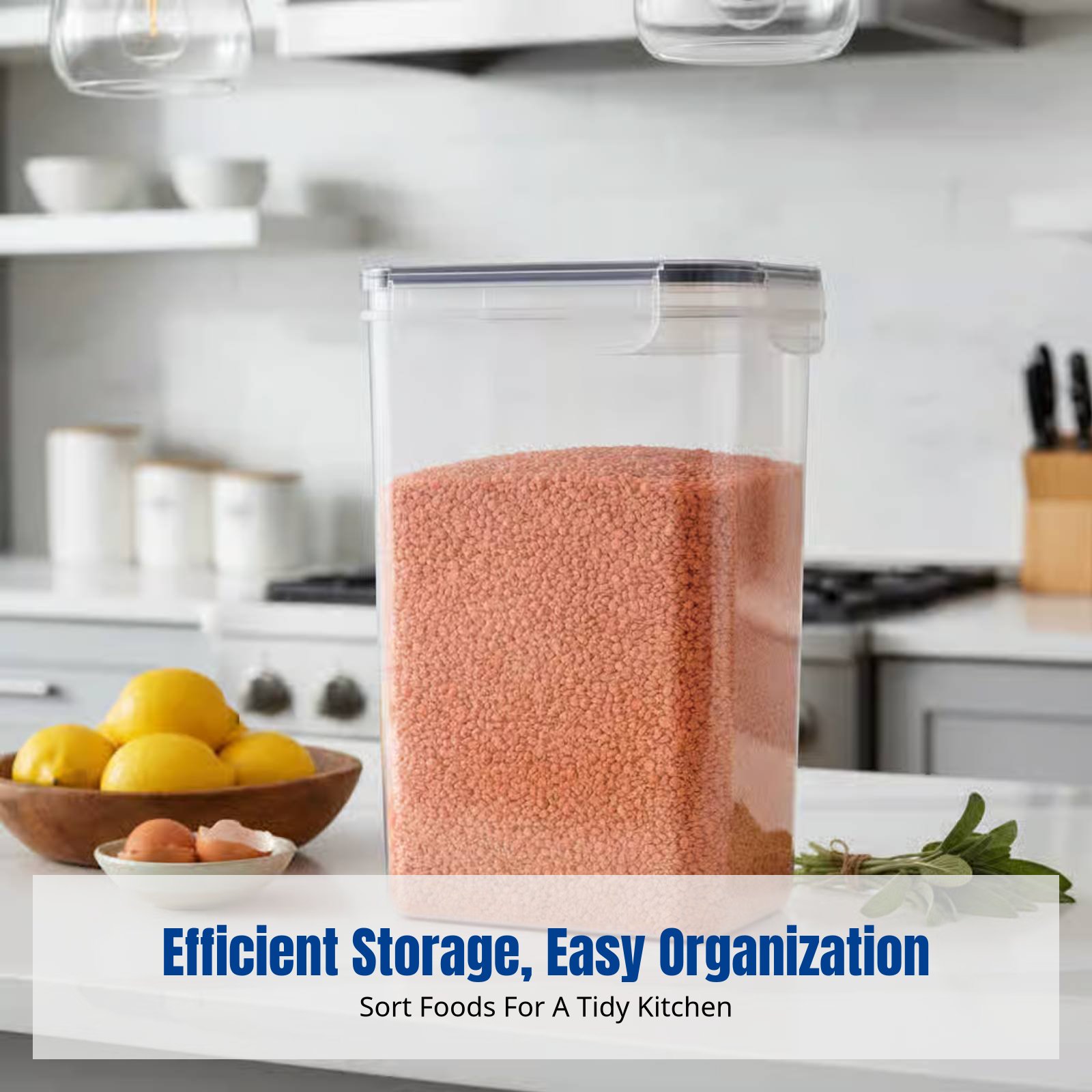 Zestaw szczelnych pojemników d – Food Storage And Container recenzja i cena